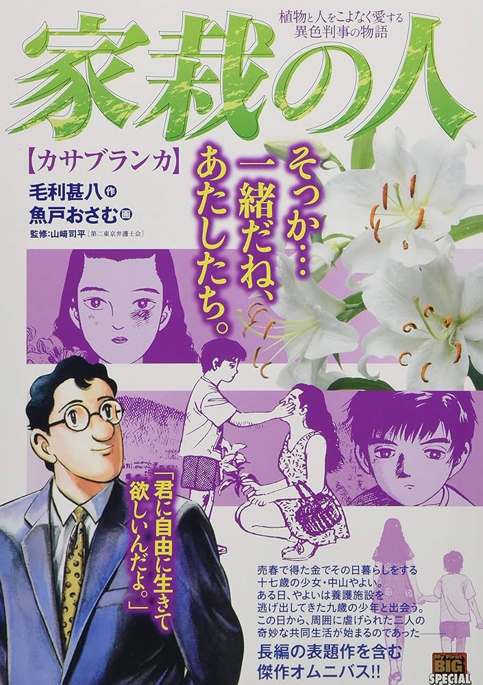 Amazon.co.jp: 家裁の人/カサブランカ (My First Big SPECIAL
